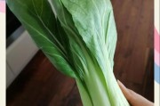 宝宝吃小白菜的好处_宝宝几个月可以吃小白菜