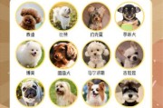 狗的品种大全及图片_如何挑选适合家养的小型犬