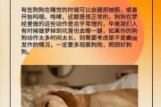 梦到家里的狗是什么意思_梦见狗死了预示什么