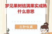 梦到摘果子是什么意思_梦到摘果子预示什么