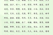 今年男宝宝取什么名字好_2024最旺男孩名字推荐