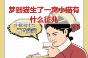 梦到小狗小猫是什么意思_梦到小狗小猫的预兆