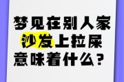 梦见拉很多屎是什么意思_梦到拉屎代表什么