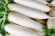 白萝卜图片大全_白萝卜怎么挑选