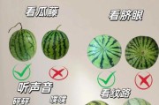 西瓜宝宝怎么挑选_西瓜宝宝怎么保存