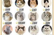 猫咪品种大全图片_如何挑选适合家养的猫
