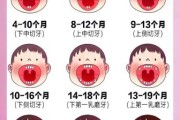 八个月宝宝没长牙正常吗_八个月还没出牙怎么办