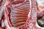 羊肉图片大全真实照片_如何挑选新鲜羊肉