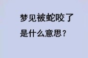 梦到被蛇咬了脚是什么意思_被蛇咬脚预示什么