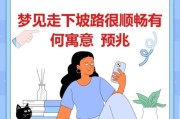 梦到马路是什么意思_梦见马路有什么预兆