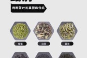 茶叶大全图片有哪些_如何鉴别茶叶品质
