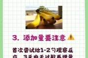 6个月宝宝能吃香蕉吗_香蕉辅食怎么做
