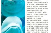 白鲸图片大全_如何辨别白鲸真假照片
