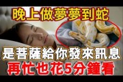 梦到家里进蛇_梦见蛇进屋是吉是凶