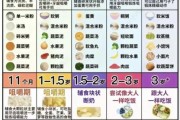 一岁宝宝吃多少饭_辅食量怎么掌握