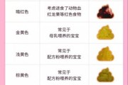 宝宝积食大便图怎么看_积食后大便颜色形状解析