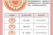 宝宝几个月出牙正常_乳牙萌出顺序