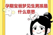 怀孕梦到生了个男孩_预示什么