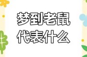 女人梦到老鼠是什么意思_女人梦见老鼠是吉是凶