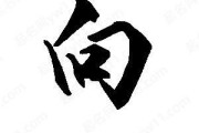 向字图片大全_向字有哪些写法