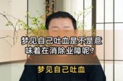 做梦梦到吐血是什么意思_梦见吐血好不好