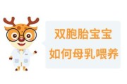 双胞胎宝宝怎么带_双胞胎宝宝喂养技巧