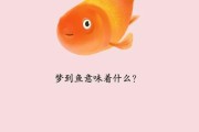 梦到鱼是什么意思_梦到鱼是吉兆吗