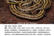 蛇照片大全图片_蛇类高清图鉴怎么拍