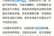 梦到小白猫是什么意思_小白猫梦境解析