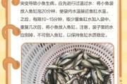 小鱼宝宝怎么喂养_小鱼宝宝多久换一次水