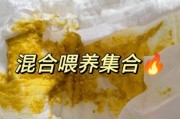 宝宝大便有粘液和奶瓣_正常吗