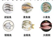 海鱼图片大全及名称_如何快速识别常见海鱼