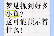 梦到抓了好多鱼是什么意思_周公解梦准吗