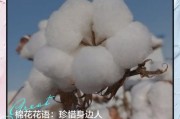 梦到棉花是什么意思_梦见棉花代表什么
