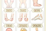 五个月宝宝脚尖着地正常吗_如何纠正