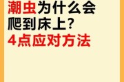 梦到虫子爬是什么意思_如何化解噩梦