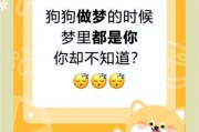 梦到小狗狗是什么意思_梦见小狗代表什么