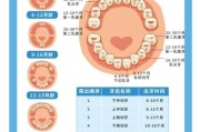 宝宝什么时候开始长牙_宝宝长牙顺序是怎样的