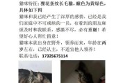 梦到捡到猫是什么意思_梦见捡猫预示什么