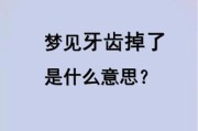 梦到下面牙齿掉了一颗_梦见下牙掉了是什么意思