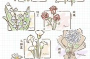 手绘花图片大全_如何挑选适合的手绘花素材