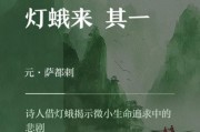 梦到飞蛾是什么意思_飞蛾扑灯周公解梦