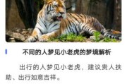 梦到小老虎是什么意思_梦见小老虎是吉是凶