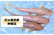红鱼图片大全_红鱼品种怎么区分