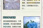 蓝玫瑰图片大全_蓝玫瑰代表什么含义