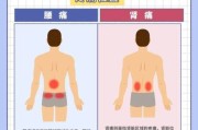 腰疼的位置图片大全_不同部位腰痛代表什么病