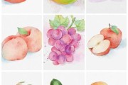 手绘水果图片大全大图_如何临摹上色