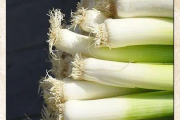 梦到葱是什么意思_梦见葱预示什么