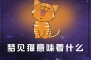 梦到一群猫是什么意思_猫群梦境解析