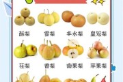 宝宝可以吃梨吗_几个月开始吃梨